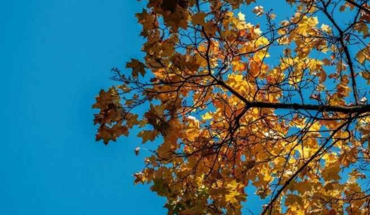 Прогноз погоды для Башкирии: что ожидает жителей в ближайшие дни