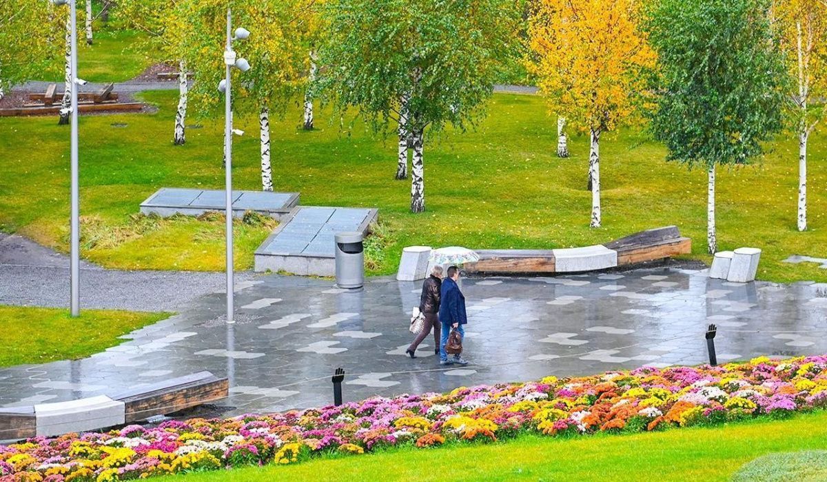 Осень вступает в свои права: погода на ближайшие дни в Москве