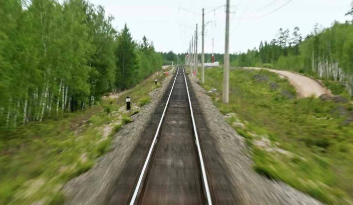 В Воронежской области остановили поезда из-за ЧП на путях