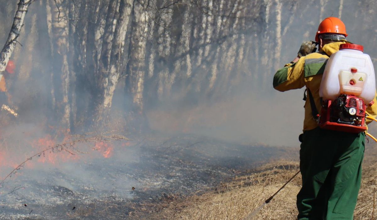 В Красноярском крае бороться с пожарами помогает взрывчатка 