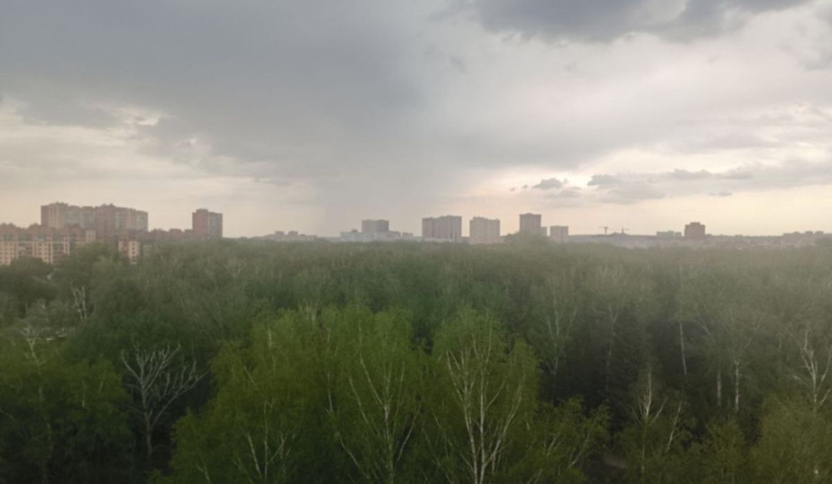 Новосибирск ждёт лето с торнадо, жарой и ураганами
