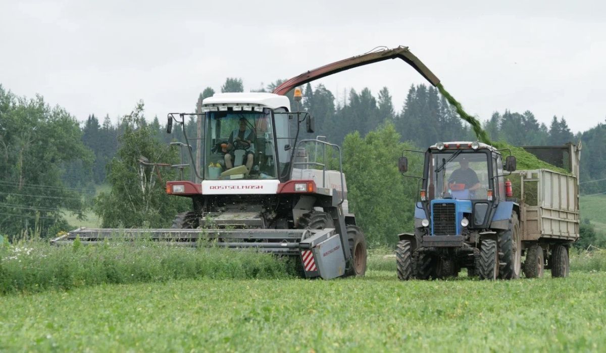 &quot;Птицефабрика Чайковская&quot; оценила предварительные итоги по заготовке ВТМ
