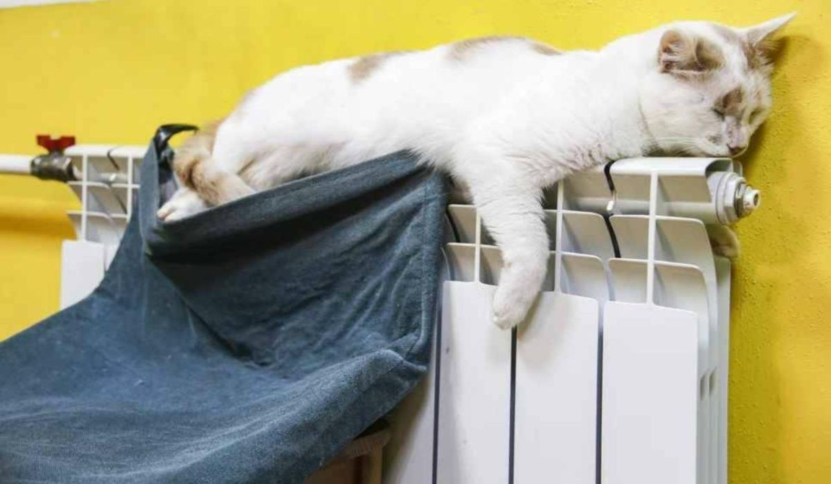 В Красноярске назвали дату начала отопительного сезона