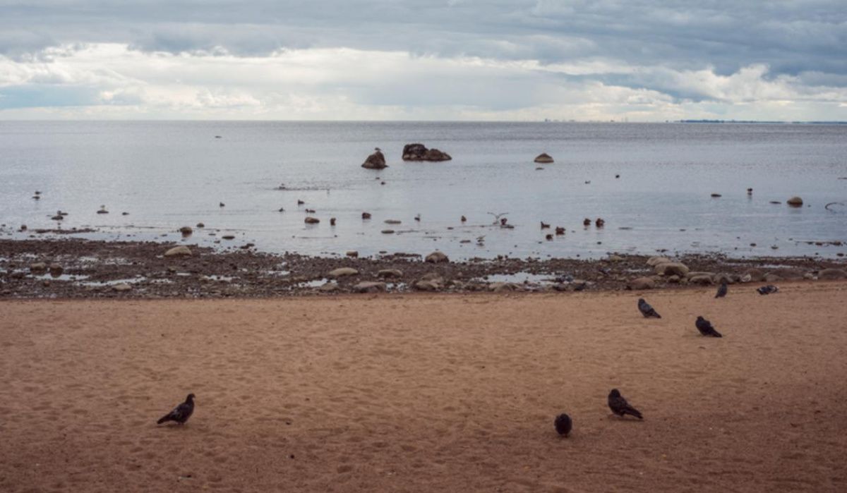 Беглов украл лето: два водоема из 24 признаны безопасными для купания в Петербурге