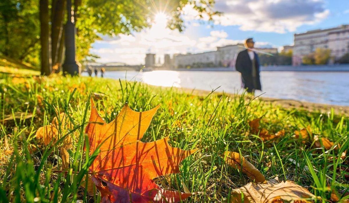 &quot;Заморозки&quot;: синоптики рассказали о погоде в Москве на ближайшие дни