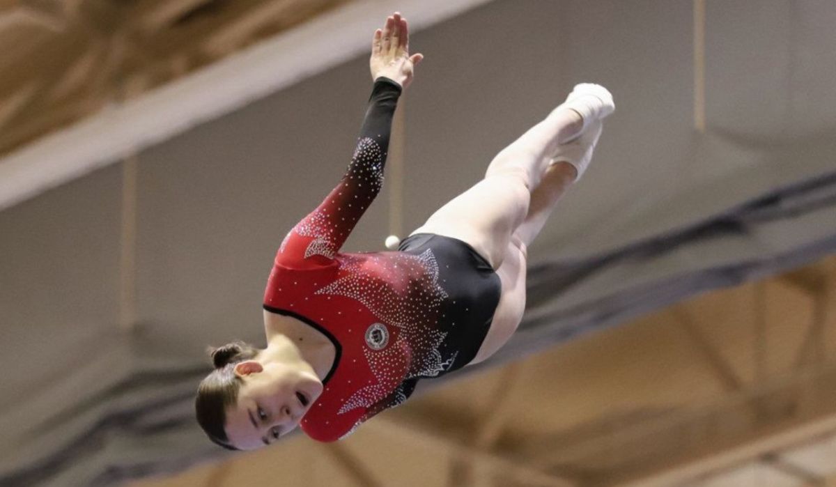 &quot;Сириус&quot; впервые примет &quot;Кубок сильнейших спортсменов&quot; по прыжкам на батуте