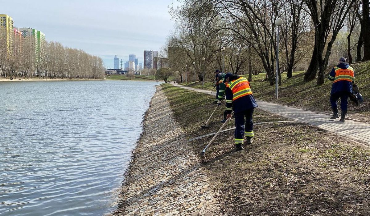 270 прудов Москвы подготовят к летнему сезону