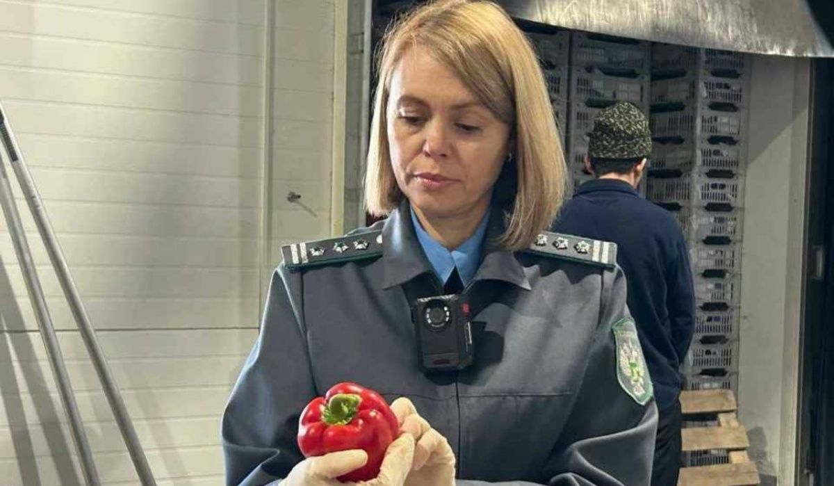 В Красноярске задержали шесть тонн зараженных перцев и винограда из Китая