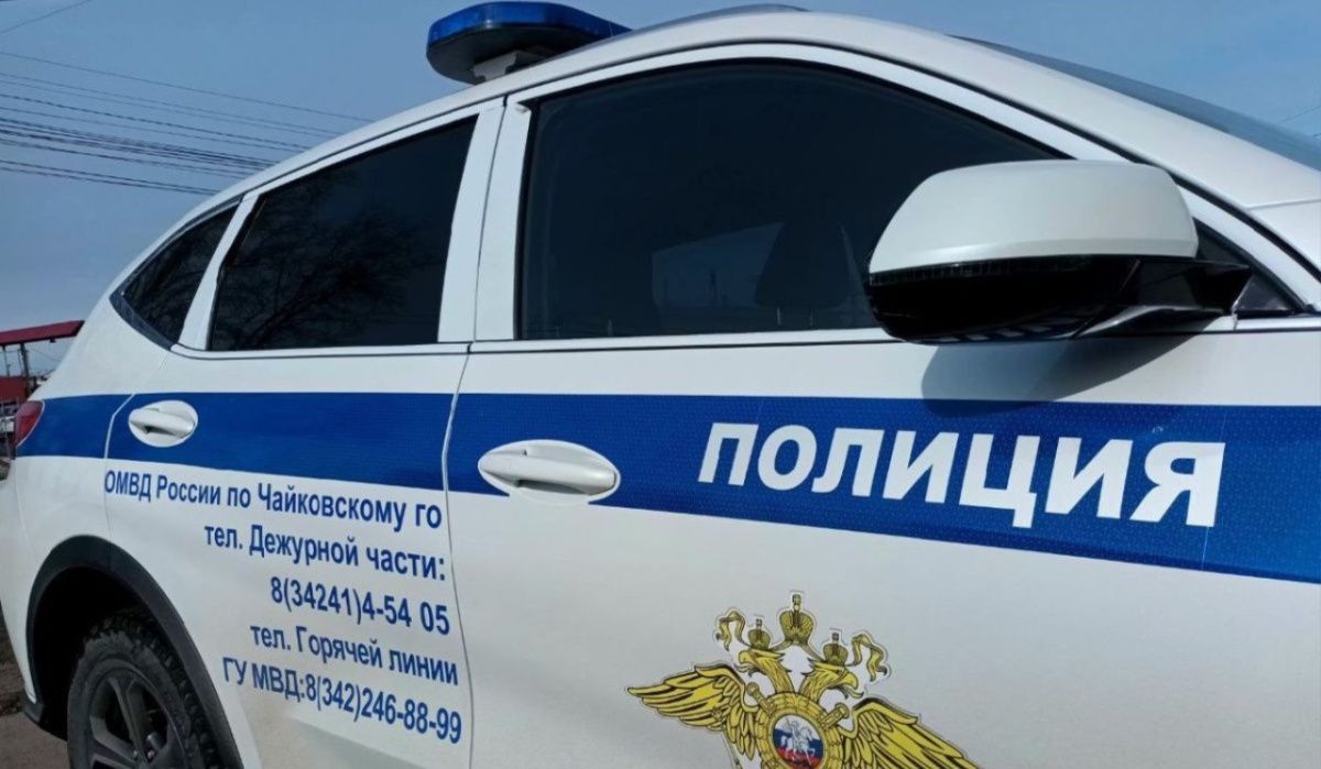 Чайковец ответит за поддельные права ограничением свободы