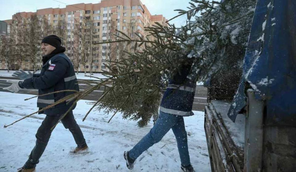 В Красноярске вновь начнёт работу «Елкомобиль»