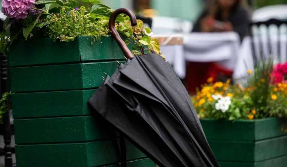 Леус рассказал о погоде в Петербурге 2 октября