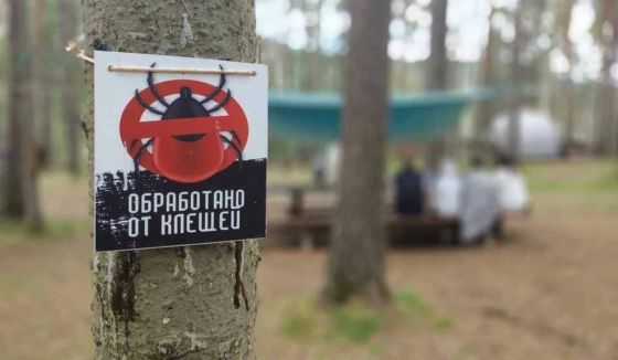 В Красноярском крае сезон клещей ожидается уже в марте