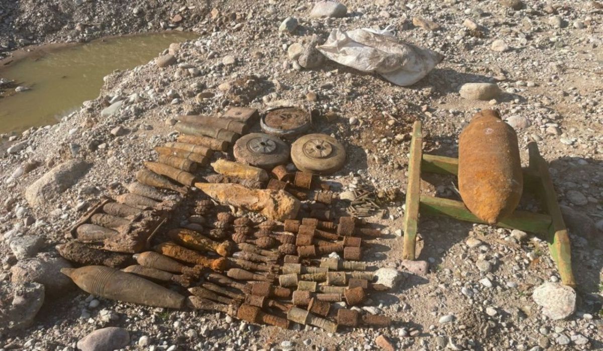 В Новгородской области нашли около 100 боеприпасов времен войны