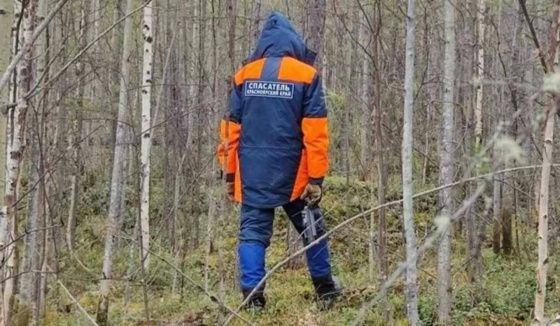 Спасатели обследовали 10 квадратных километров за день в поисках пропавших Усольцевых