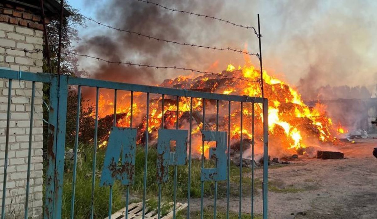 Число пострадавших в результате атаки дронов на Курскую область достигло 14 человек