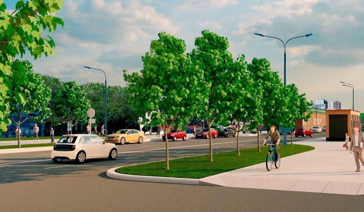 Липы, клены и вязы украсят три вылетные магистрали Москвы