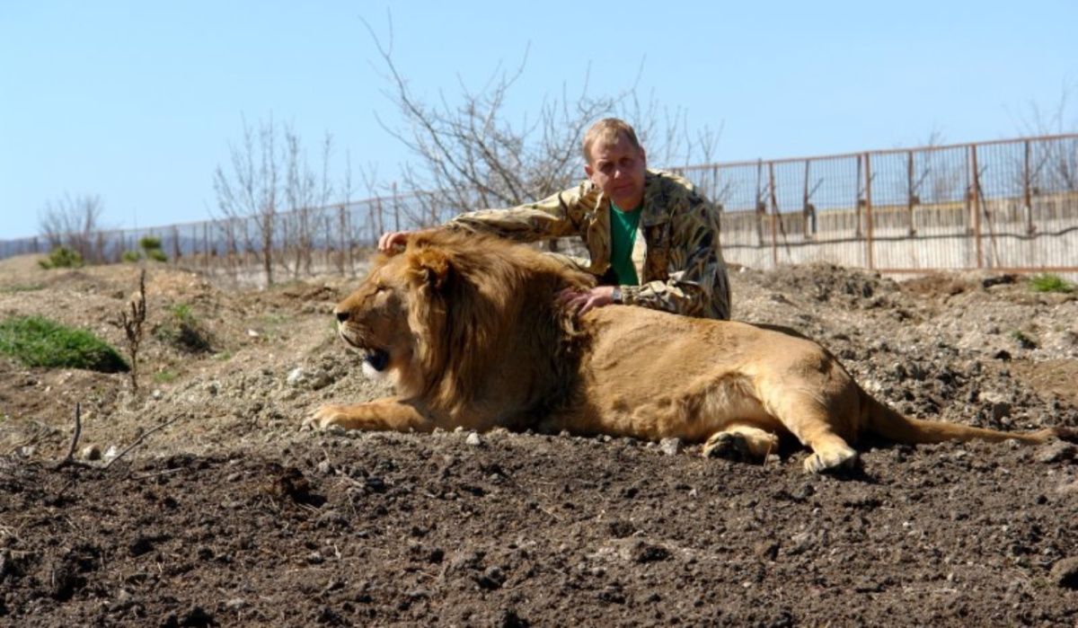 СКР возбудил дело о нападение льва на учредителя парка &quot;Тайган&quot;