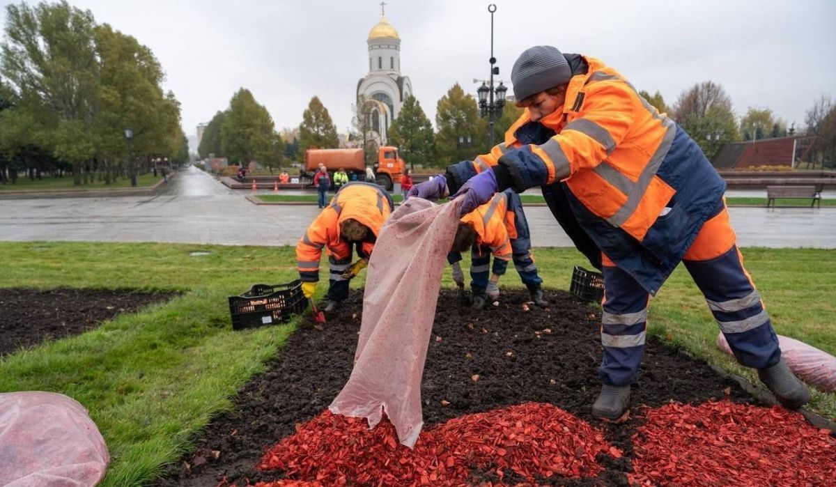 В столице начали готовить городские цветники к зиме