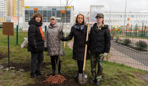 В Красноярске посадили деревья в память о погибших детях Донбасса