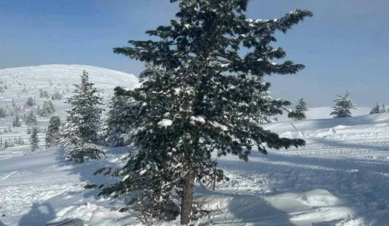 Владелец турбазы «Ергаки» в Красноярске предстанет перед судом из-за гибели лыжницы