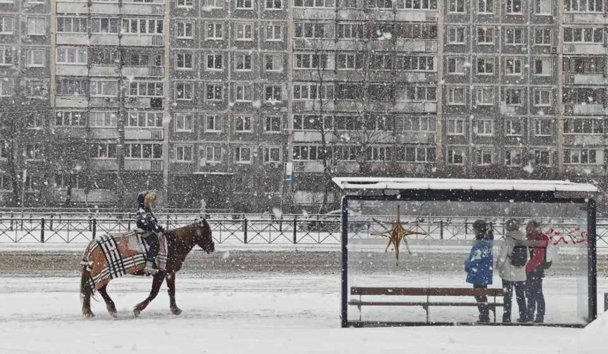 Колесов сообщил о сроках первого снега в Петербурге