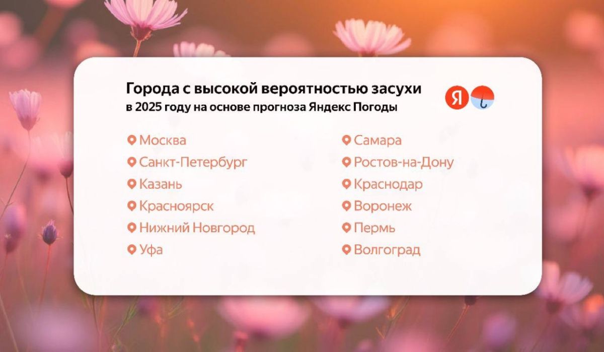 Самарская область в группе риска засухи летом 2025 года
