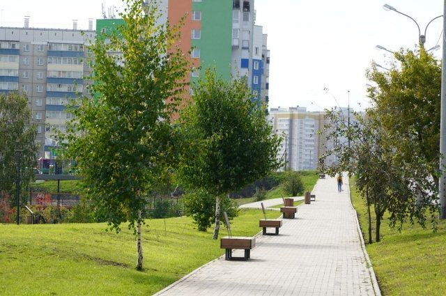 В Красноярске благоустроят и модернизируют 10 скверов по просьбе горожан