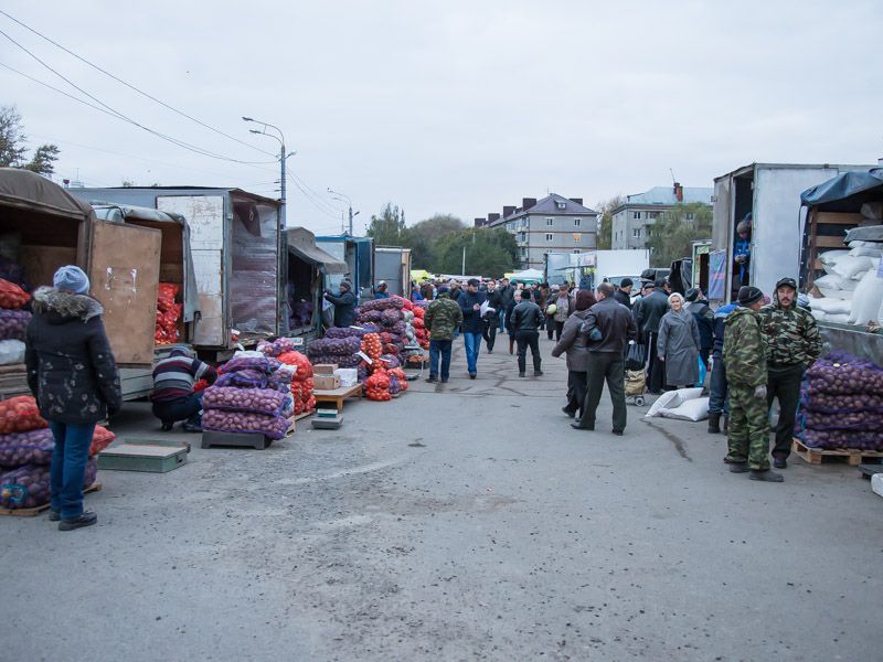 Стало известно, когда в Казани пройдут сельхозярмарки