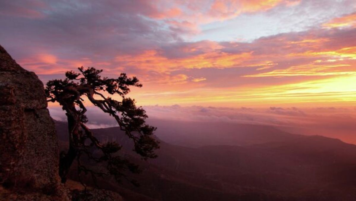 Кабмин утвердил создание заповедника &quot;Мыс Мартьян&quot; в Крыму