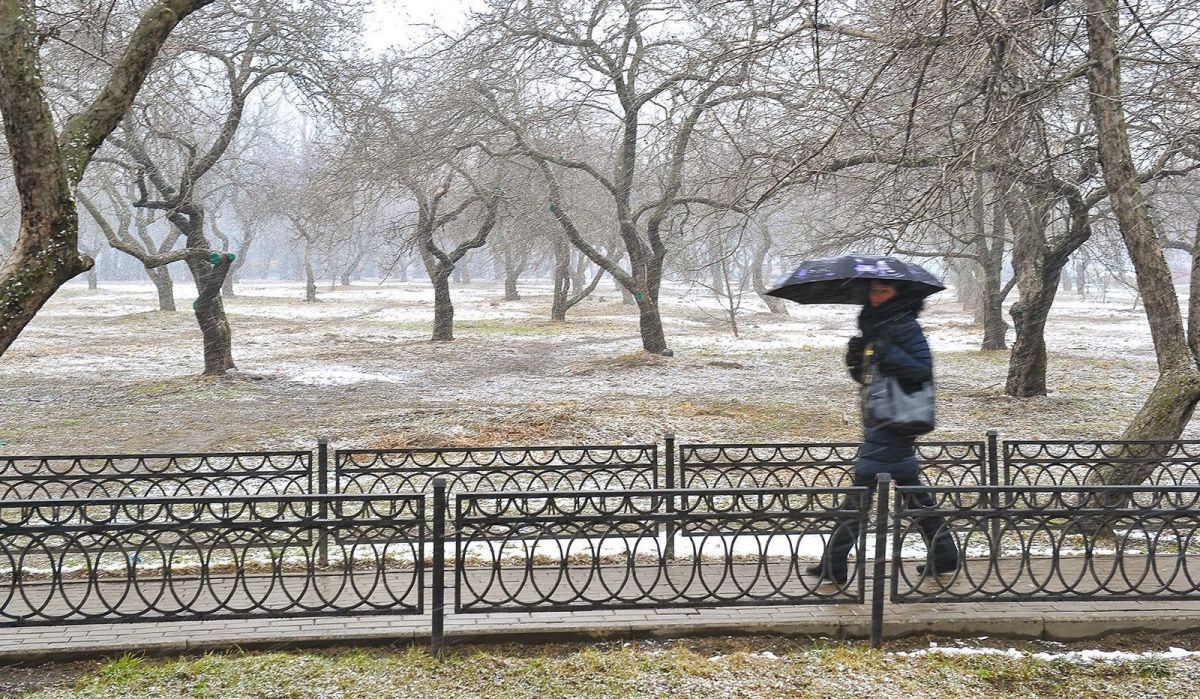 В Москву возвращаются метель и гололедица: синоптики прогнозируют похолодание