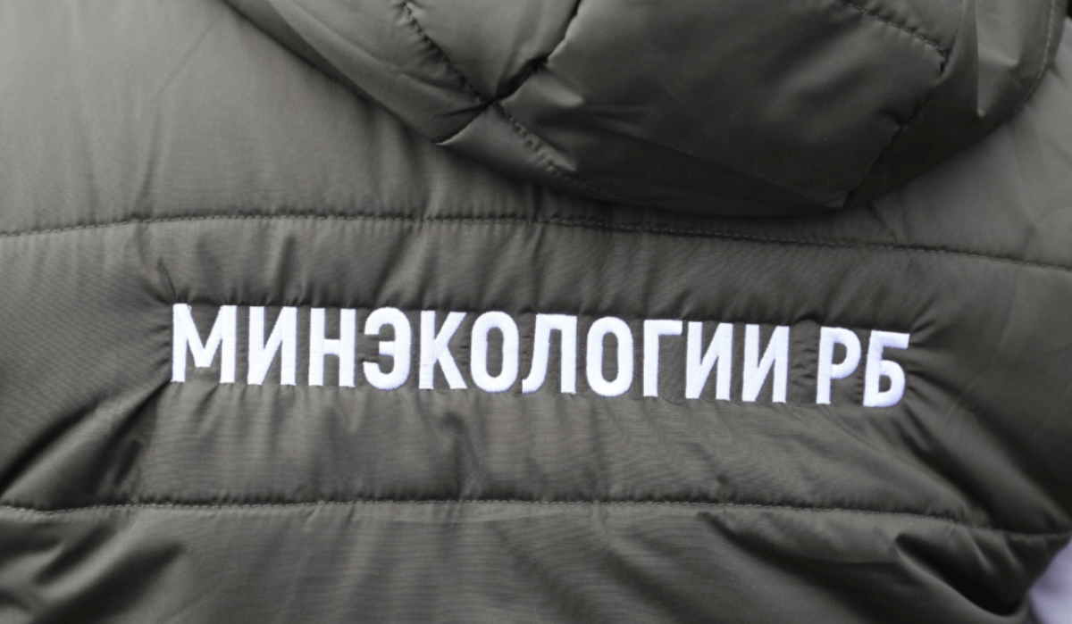 В Башкортостане выявили 167 нарушений законодательства в сфере охраны природы