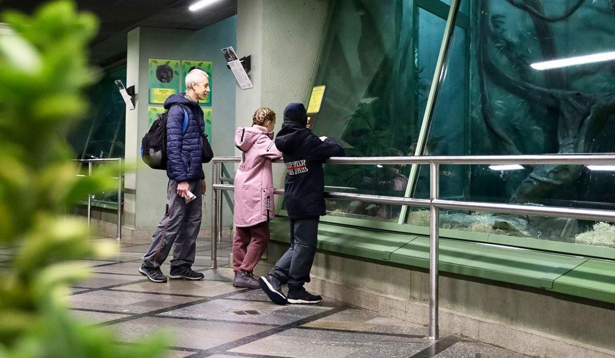 Италия подарила России более 20 японских макак