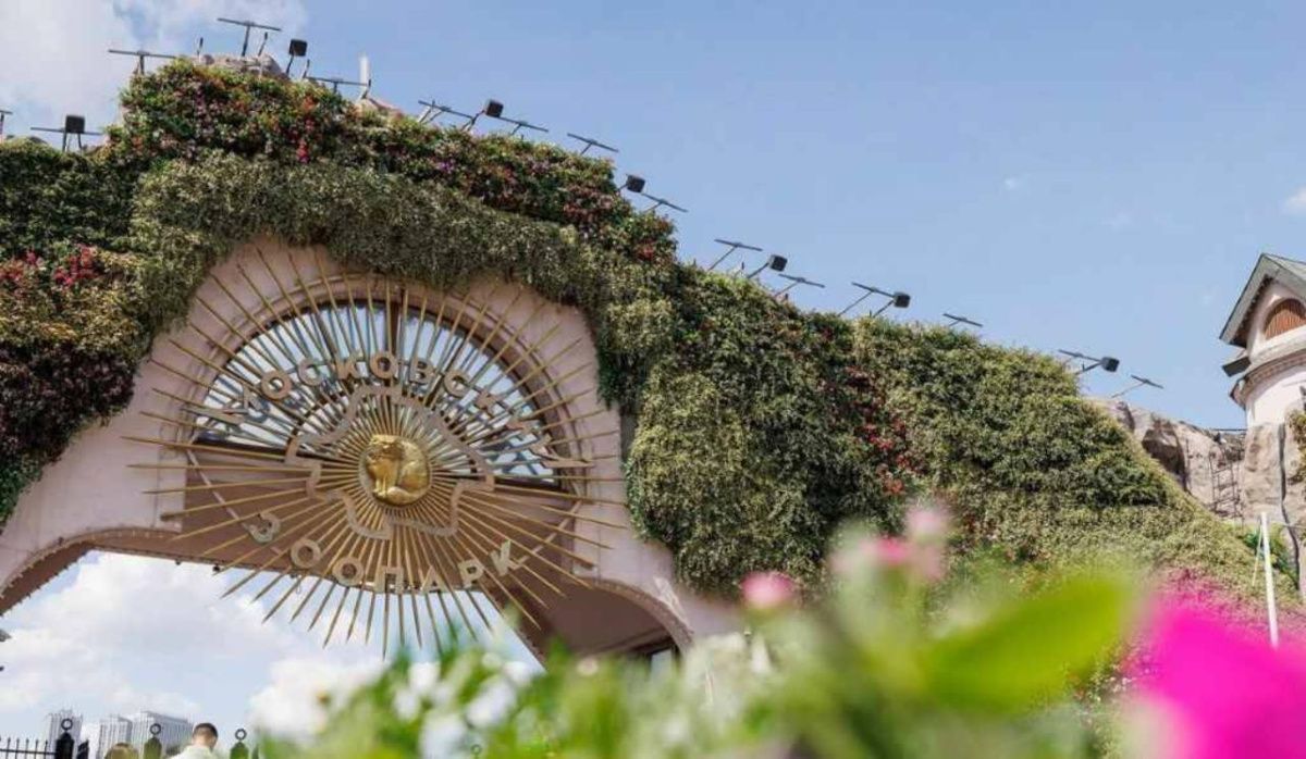 Попытка отравления животных в Московском зоопарке: заявление директора