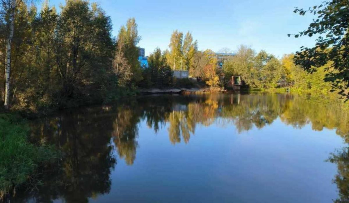 Петербург ожидает потепление до 9 градусов 21 октября