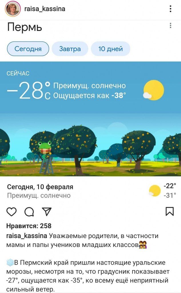 Screenshot_20210211-104717_Instagram.jpg