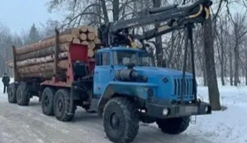 Красноярские полицейские помогали незаконно вырубать леса