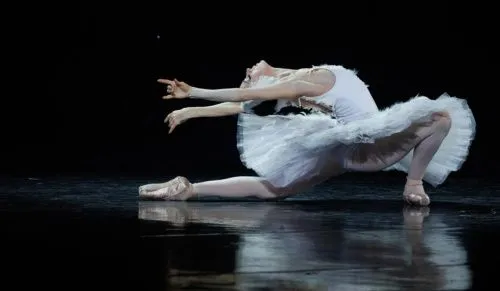 Свободный балет Валерия Терёшкина отметил юбилей
